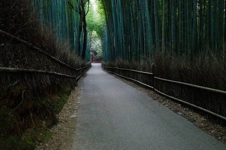 Historical Kyoto E-Bike Tour 
