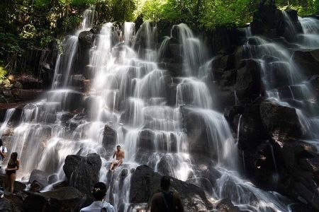 Bali: Waterfall Tour and Ubud Monkey Forest Private Day Trip