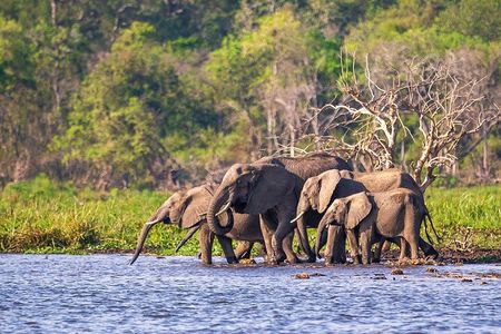 4 Days Akagera Wildlife and Bwindi Gorilla trek 