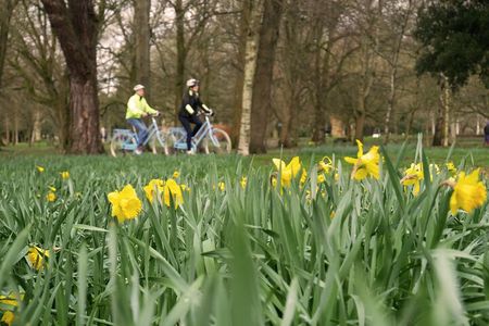 Guided Cycle Tours of Cardiff