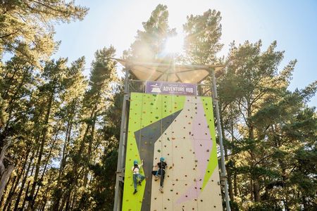 Rock Climb, Zipline and Mega Swing Experience