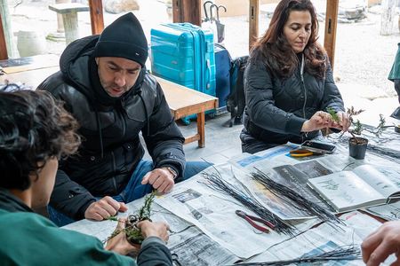 Make Your Own Bonsai with a Professional Bonsai Artist in Tokyo
