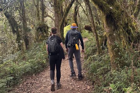 Private One-Day Trek to Mount Kilimanjaro