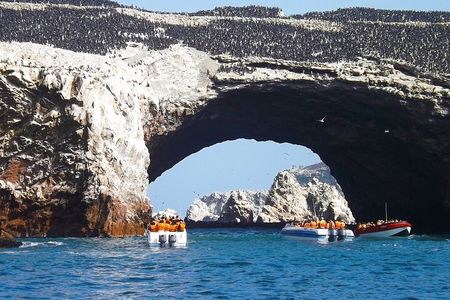 Full Day Tour to Visit Ballestas Islands and Paracas Reserve