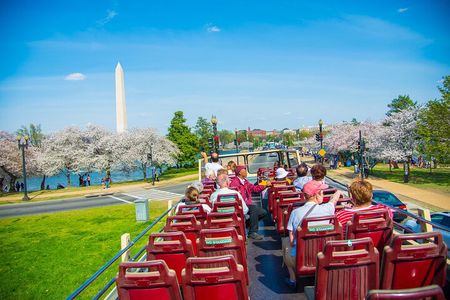 Hop-on Hop-off Sightseeing Tour by Open-top Bus with 18 Stops