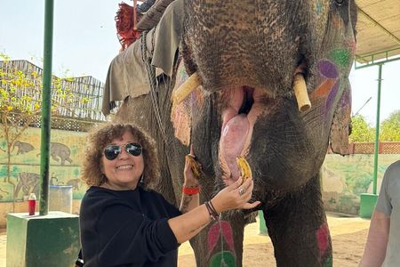Private 5 Days tour to Delhi Agra Taj Mahal Ranthambore Jaipur
