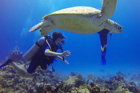 Paracas: Dive Discovery Scuba - Diving in Paracas 