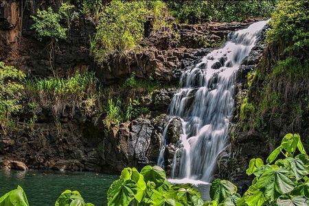 Circle Island Tour with Waimea Waterfall