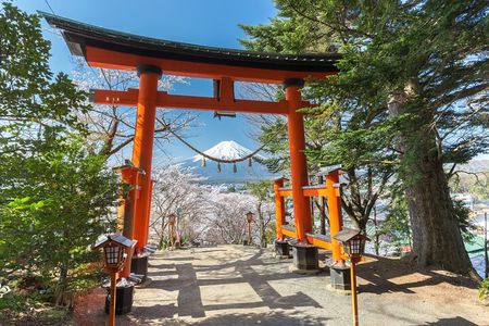 Mount Fuji Sightseeing Private tour w English speaking chauffeur