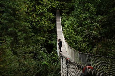 Guided Vancouver Hiking Highlights Day Tour with Gondola Download