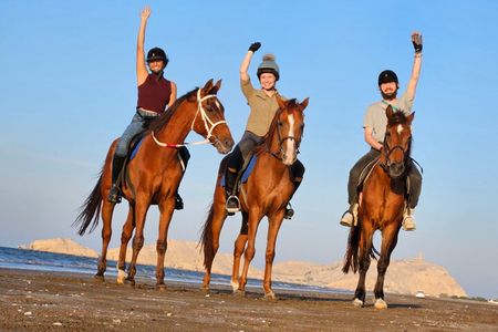 Horseback Riding Muscat Beach