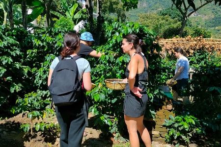 Coffee, Chocolate and Textile Tour in Lake Atitlan