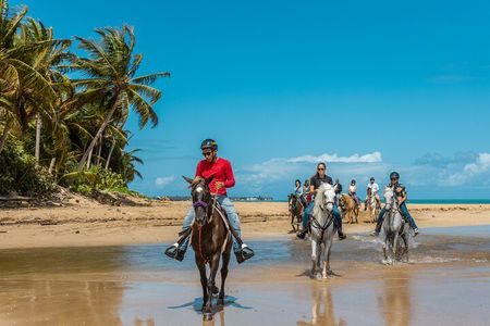 Luquillo Beach Horse Ride from Carabalí Rainforest Adventure Park