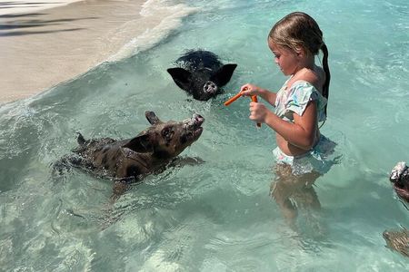 3 Islands Boat Adventure: Swimming Pigs, Snorkeling And Turtles