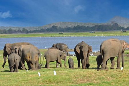 9 Days Private Vehicle & Driver Explore SriLanka By Your Own Plan