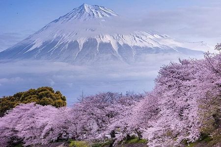 Mt. Fuji and Hakone Private Tour with English Speaking Driver