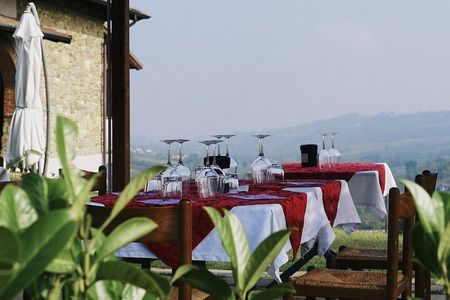 Visit winery and vineyards, tasting 4 wines with 3 matching dishes