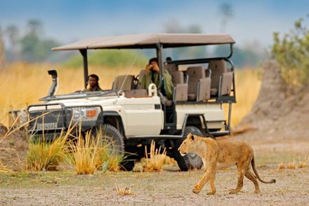 Moremi Full Day Trip From Maun
