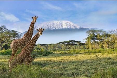 3 Day Amboseli Kenya Safari Tour with African Gift