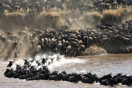 4 Days 3 Nights Serengeti, Ngorongoro and Tarangire Safari