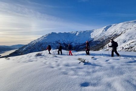 Snowshoe hiking in Bergen - Public tour