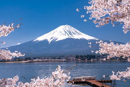 Discover Mt. Fuji area & Lake Kawaguchiko Sightseeing Day Tour