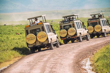 6-DayThe Best of Northern Tanzania Safari