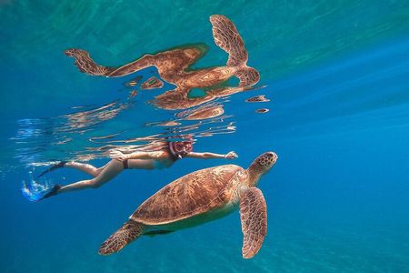 Sea Trip by Boat to Marsa Mubarak – Snorkeling in Marsa Alam