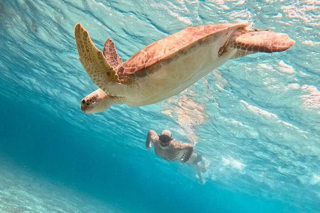 Cozumel: Snorkeling to El Cielo & Cielito with drinks & Snack