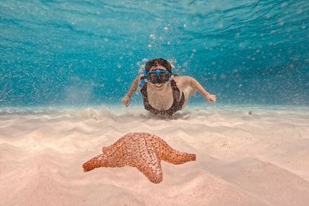 Cozumel Snorkeling to Palancar & El Cielo with drinks & Snack