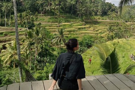 Ubud Half-Day Tour with Rice Terraces, Water Temple, & Waterfall