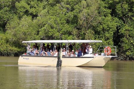 Darwin: Pathfinder Original Jumping Crocodile Cruise