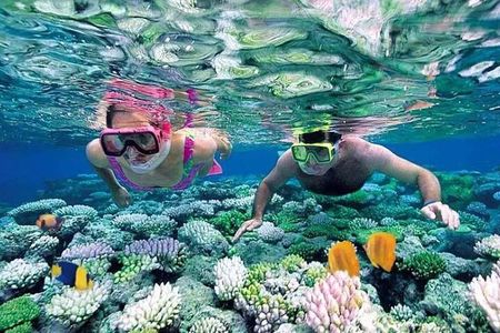 Trekking and Snorkeling in Nhơn Lý