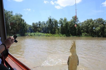 Darwin: Adelaide River Queen Original Jumping Crocodile Cruise