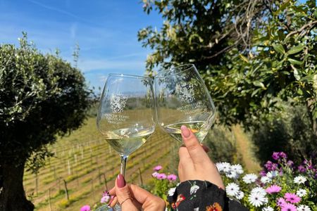 Frascati Wine Tasting Tour: The Flavors of the Roman Countryside