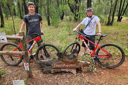  Cycling in a Forest close to Johannesburg and Pretoria 