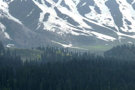 Gulmarg Adventure: A Thrilling Day Trip from Srinagar