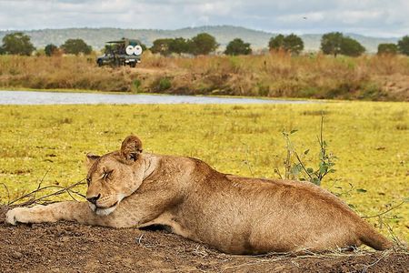 2 Days Private Safari Tour of Mikumi