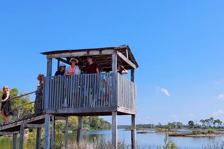 Karavasta Lagoon Adventure: Boat & Wildlife Tour from Durrës