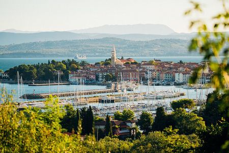 Experience Slovenian Coast line with Wine Tasting from Trieste