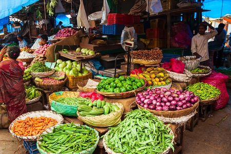 Kolkata 2 Day Private Tour with Guide and Car