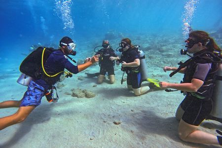 PADI Open Water Course in 3 days