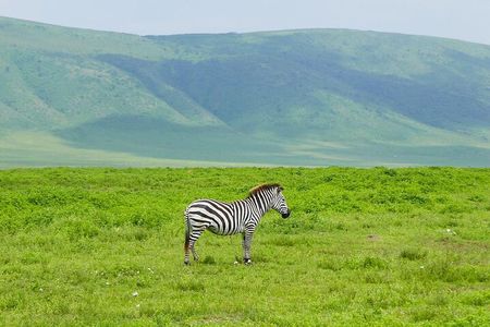6 Days Memorable Great Migration Tour in Mara Crossing