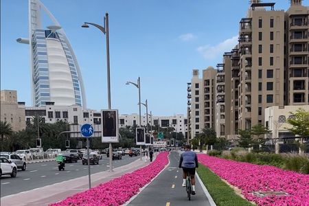 Dubai Electric Bicycle Tour