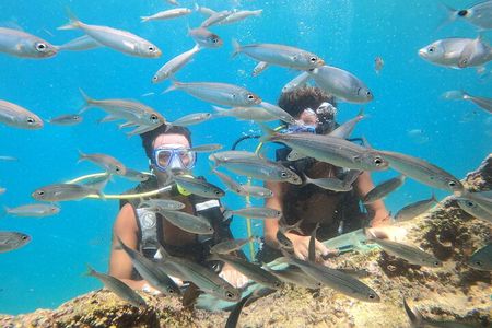 Antalya Scuba Diving with Bout Tours