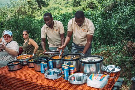 4-Day The Short of Tanzania Safari 