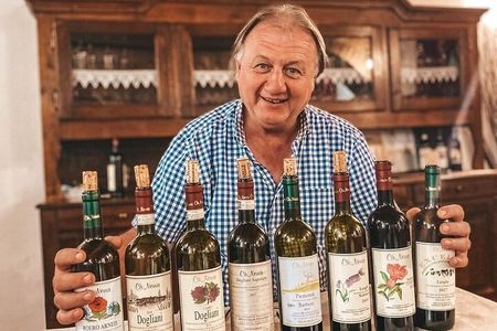 Tasting of 7 wines in the Langhe and visit to the cellar