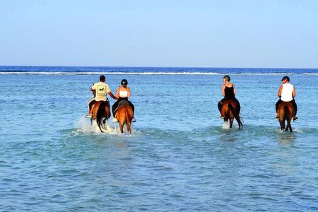 Horseback riding in Marsa Alam and Port Ghalib