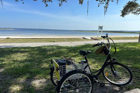 Kissimmee Lakefront Tour on Electrified Adult Trike