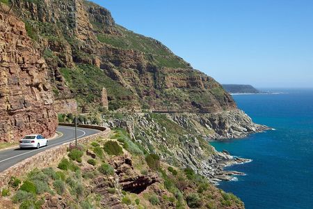 Cape Peninsula Full Day Private Tour